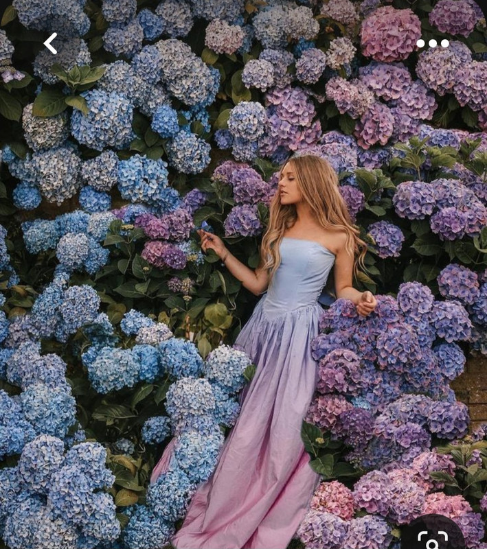 Screenshot_20230601_013736_Pinterest