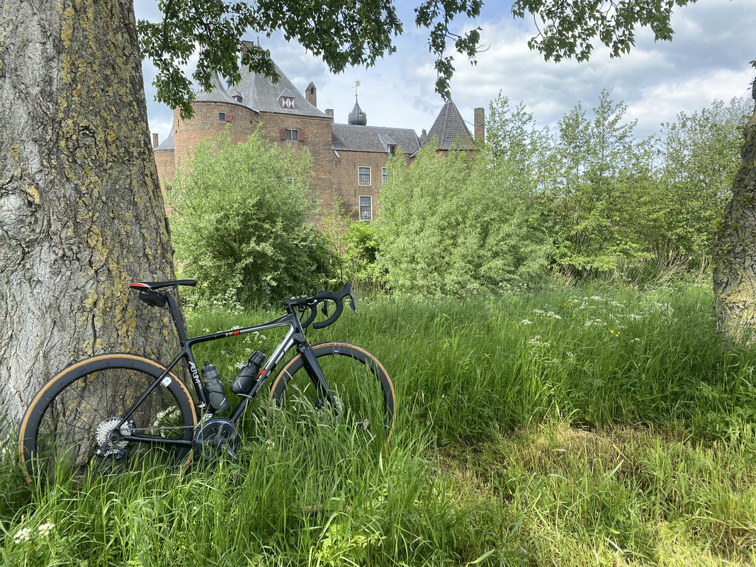 5E5DD658-8923-4325-840C-EE6DA1511224