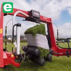 daily-gifdump-3406-11.gif