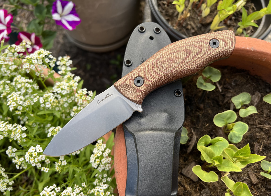 CA43FB5B-5999-4A4A-92B2-E1EA77A74ED3