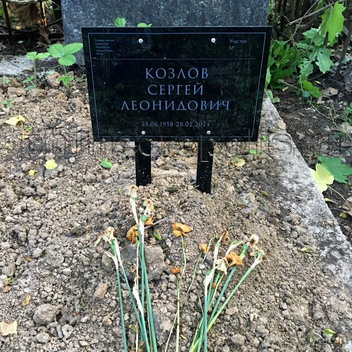 kozlov