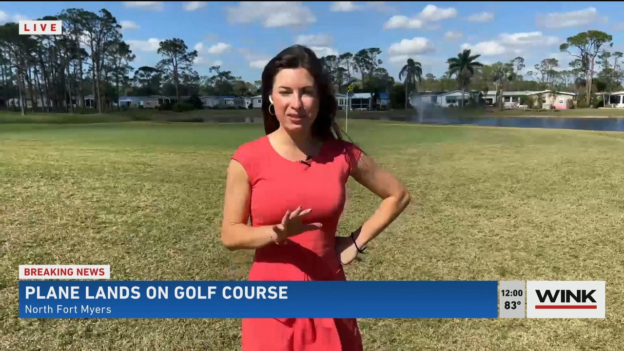 02.02 - 17.00.00 - The WINK Noon News  ᴺᵉʷ. Midday news update..ts_snapshot_06.43.094