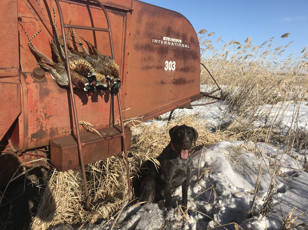 E4810225-33C2-4030-B360-E312C9187024