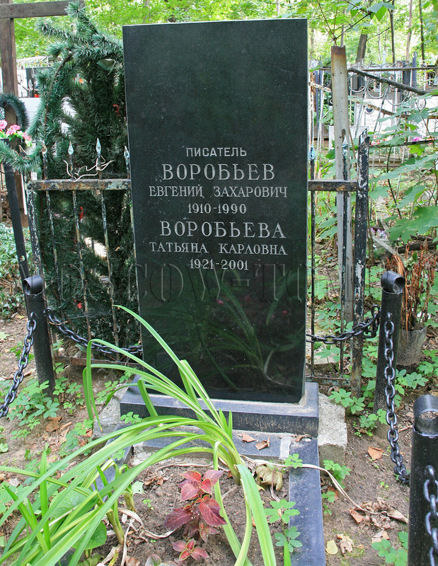 vorobyev-ez-old