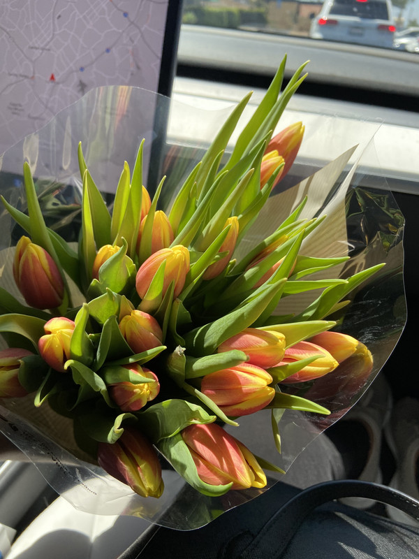 B22DD619-45F1-40A2-8781-316181B686C2