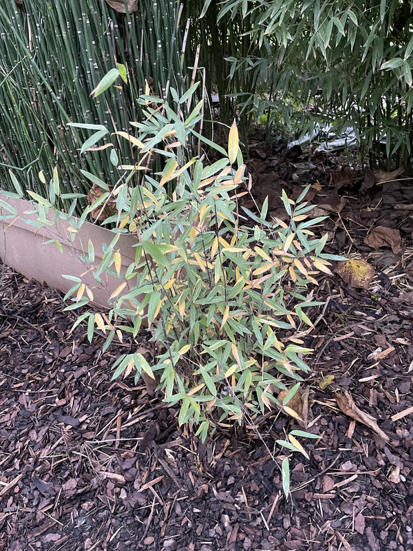 3793DA94-F5C4-4605-9A66-026BC1F2AFB5