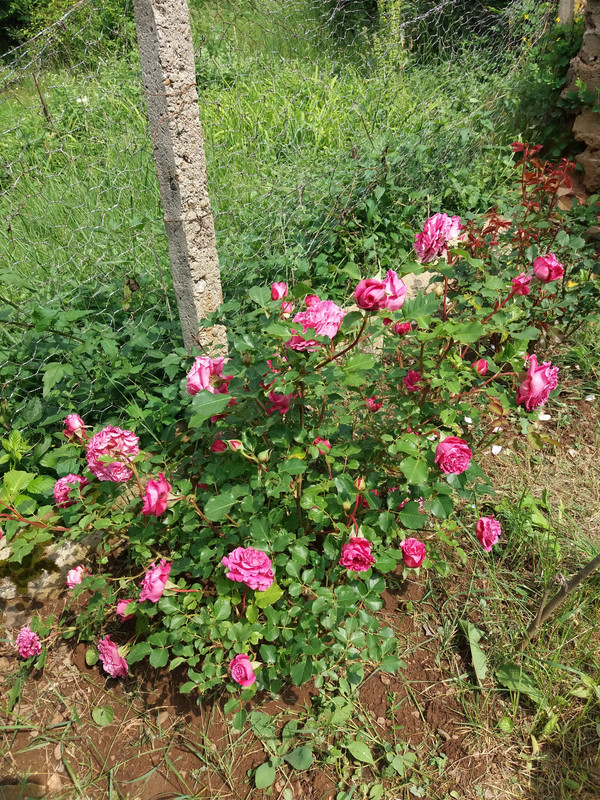 20190602_115849