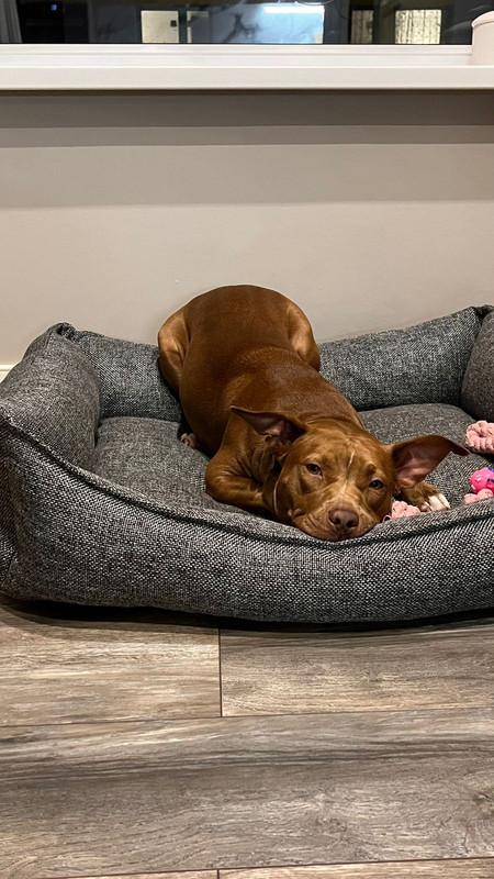 77709FA5-9E56-418C-AB5B-AE59033E3A36