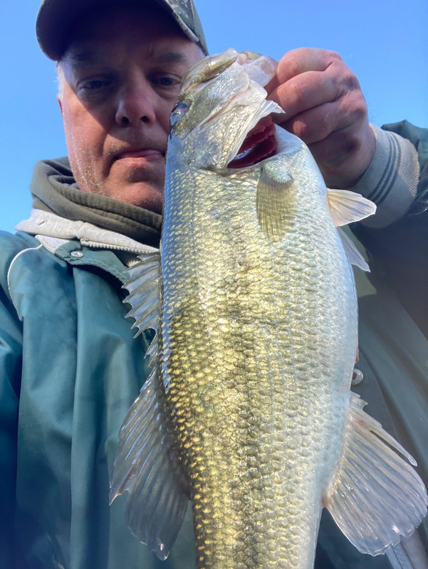 67128885527__1CCC0CB4-0907-4E63-AA11-EA28C6AE453C