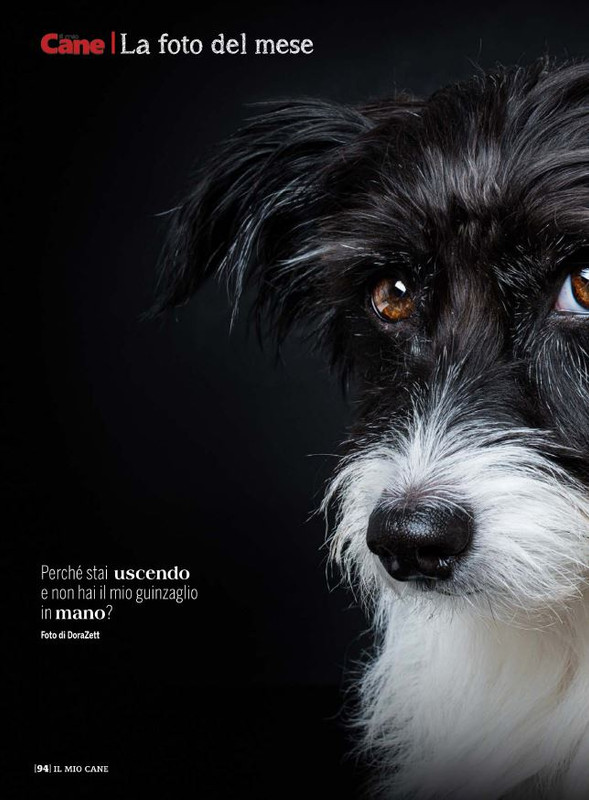 Il M C Dic 2021 (11)