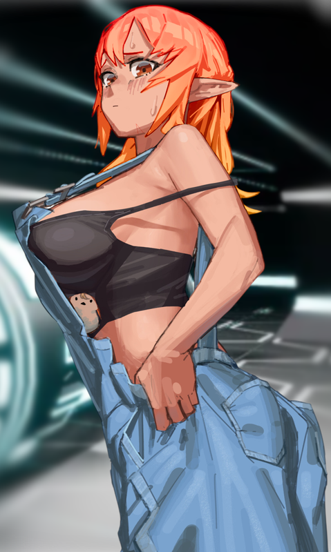 Mechanic