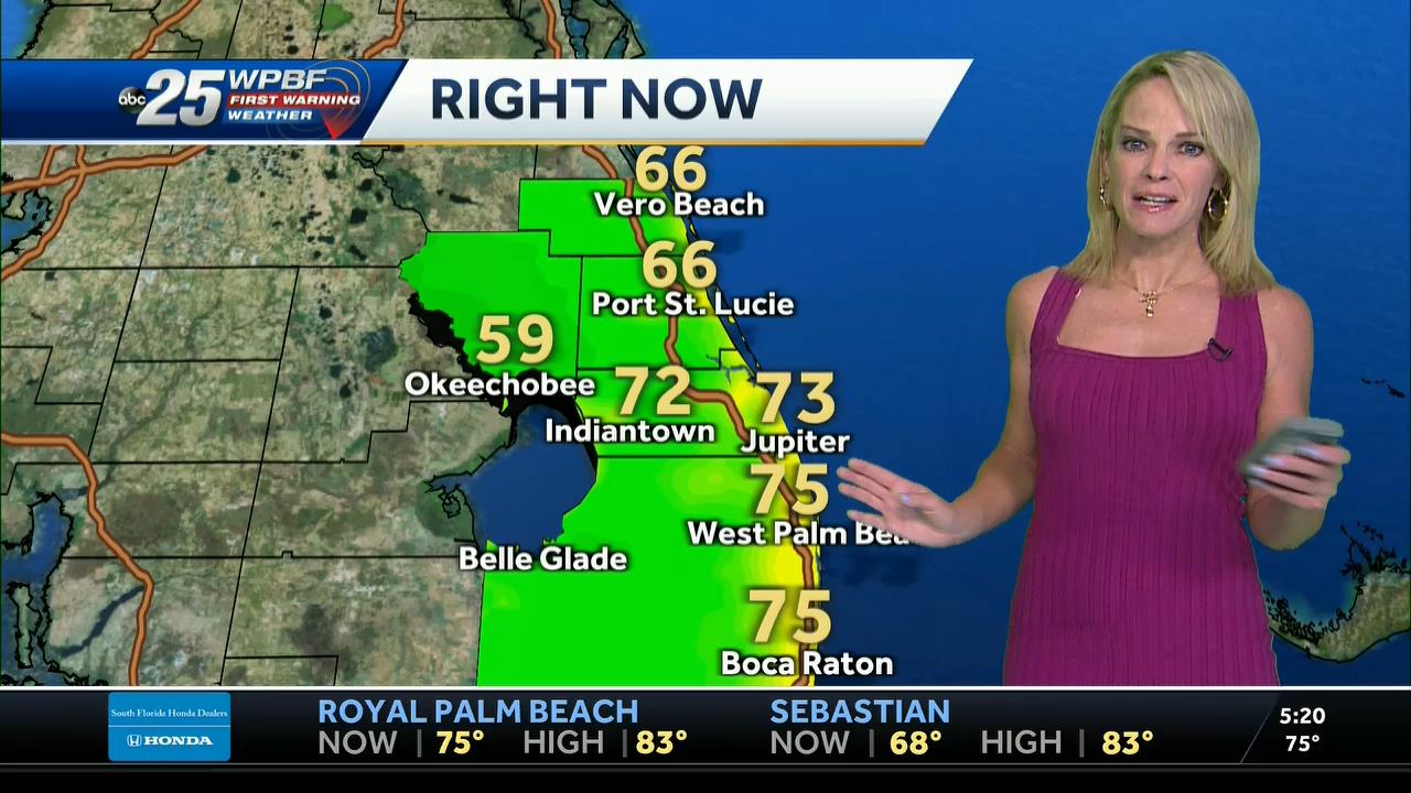 05.23 - 10.00.00 - WPBF 25 News..ts_snapshot_00.22.30_[2021.05.23_16.20.00]