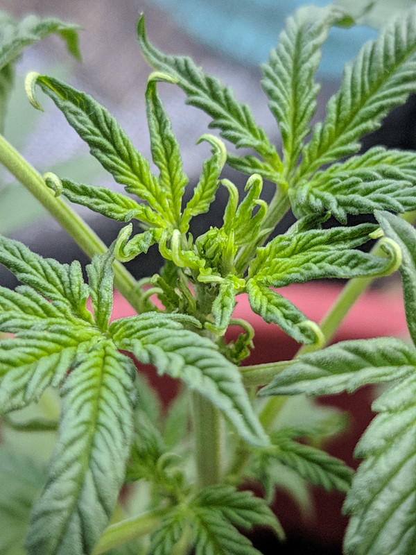 HC_20230205_174826_null