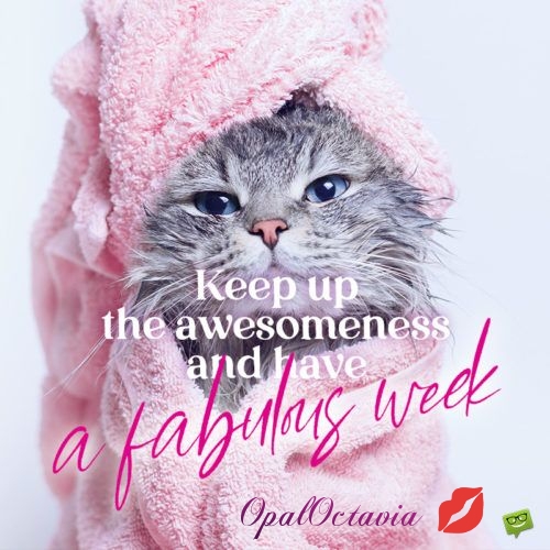 photostudio-1767625375179