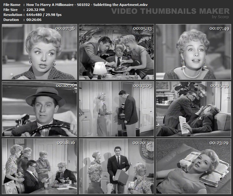 How To Marry A Millionaire - S01E02 - Subletting the Apartment.mkv