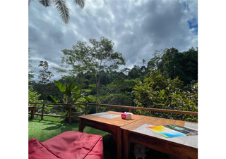 6 Aviones, 3 barcos y 2 trenes, empezando en Estambul y terminando Kuala Lump - Blogs de Indonesia - TERCERA PARADA: BALI (61)