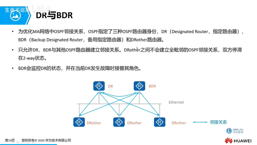 e31_DR与BDR.png