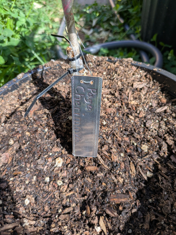 PXL_20250907_223654094