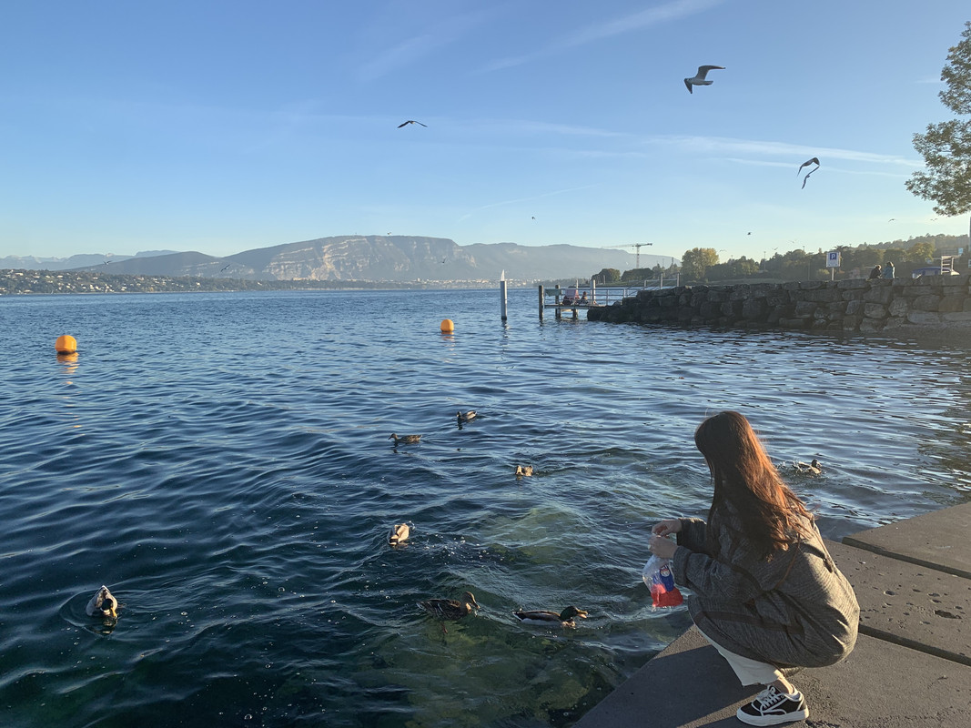 IMG 1414 — Postimages