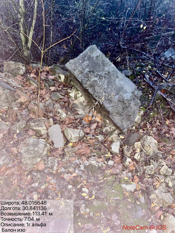 photo 11 2025 11 05 18 27 47