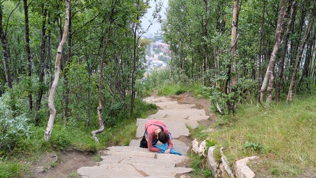 DÍA 3 – Vuelo BERGEN-TROMSØ y visita de TROMSØ - 12 días por Noruega: Bergen - Tromsø - Islas Lofoten - Oslo (20)