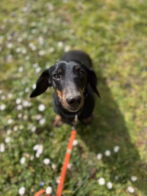 [Image: IMG-20250321-075258.avif]