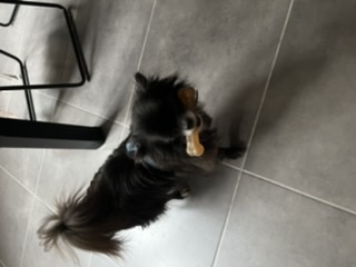 [Image: 7576-A5-F9-07-B1-41-D1-8651-BD57-FDA4-A47-D.jpg]