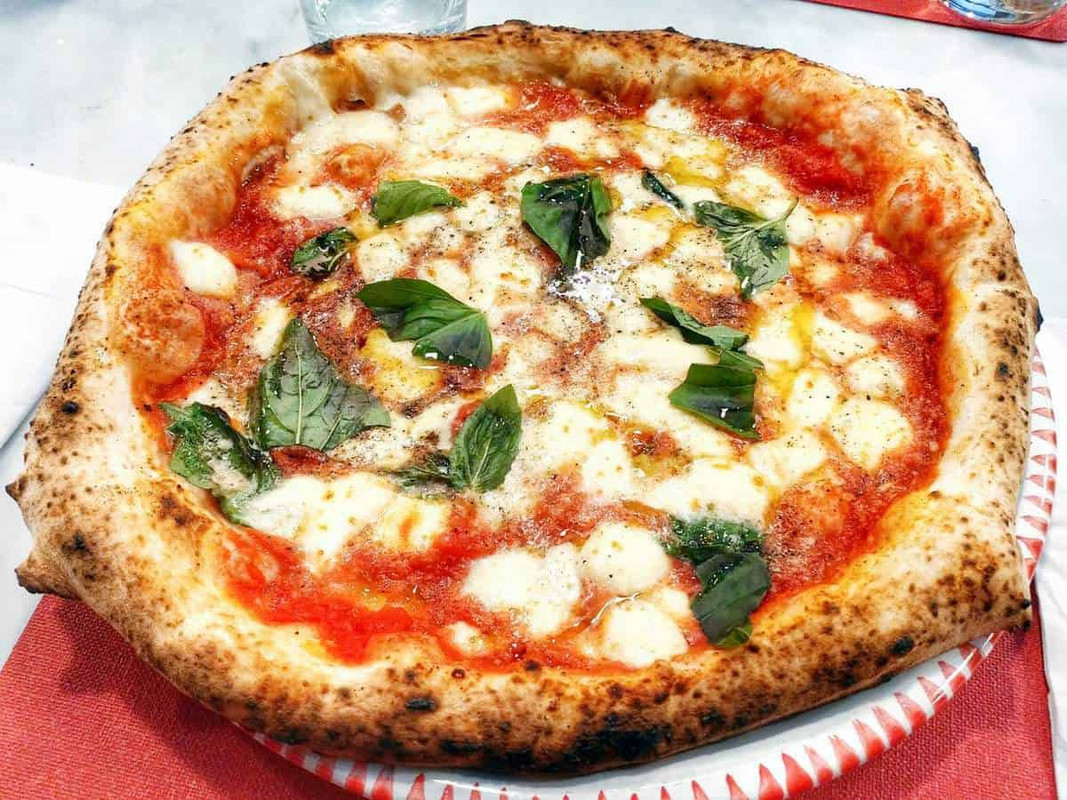 081 clasica o rutielo