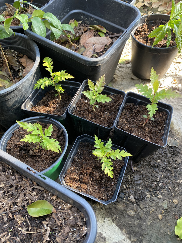 DE2B6EB5-F860-441D-818C-39C276D27A72