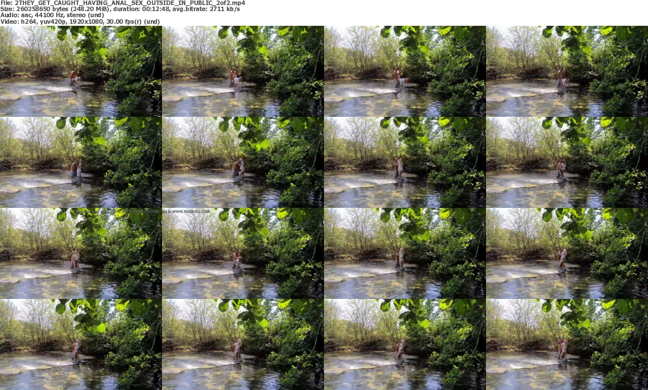 04082023160657screenshot
