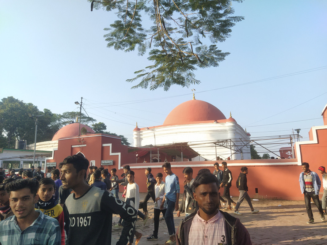 Бенгальский фьюжн с коровами на деревьях, или Бангладеш в обрамлении двух Индий