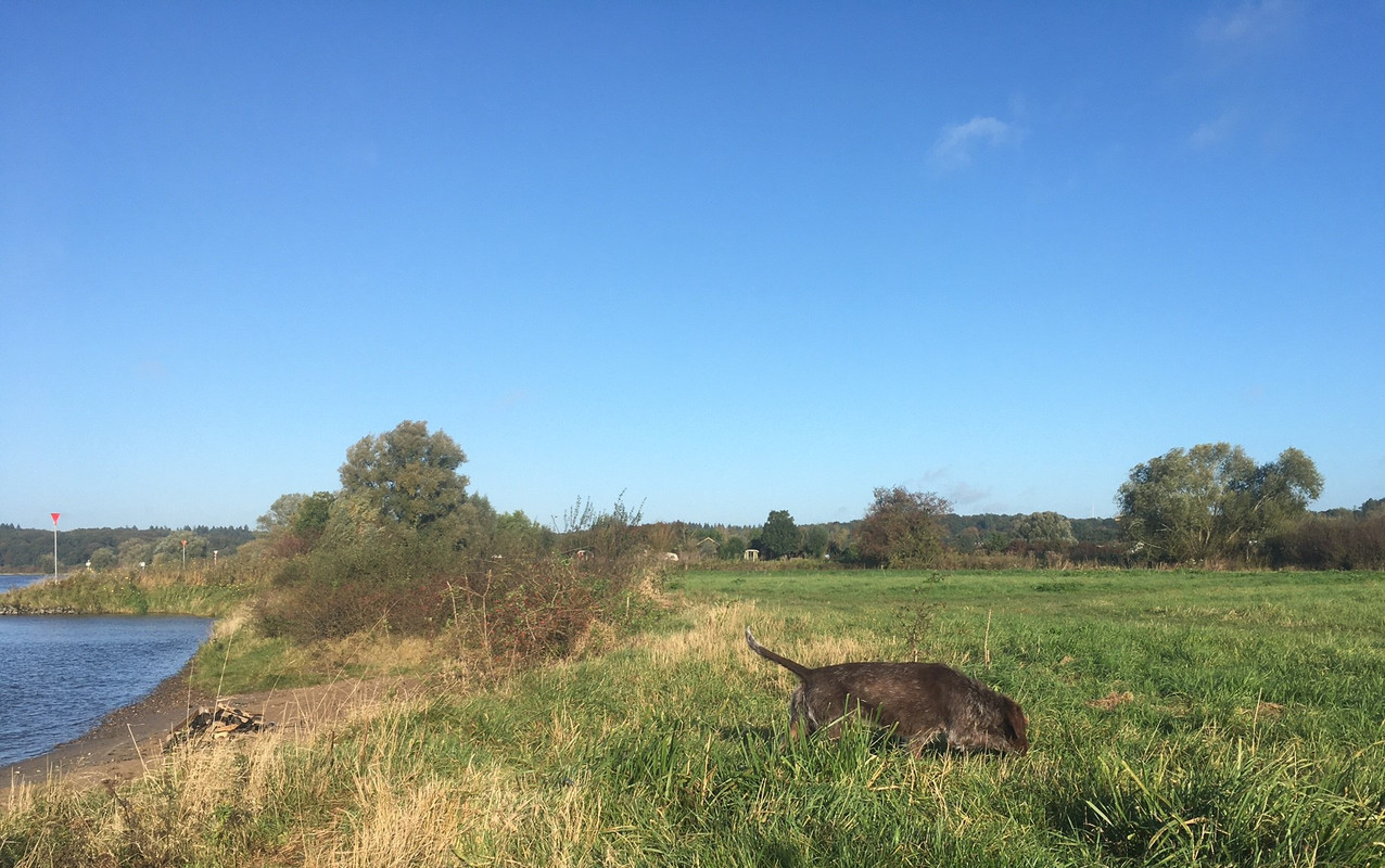 2024-07-10 Claire bij de Rijn IMG_4225 (002)