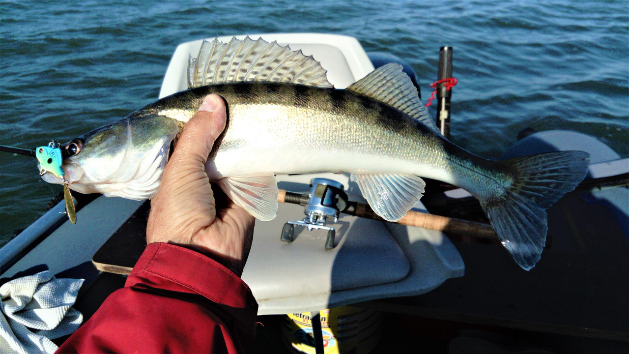 DSC_0975 — копия