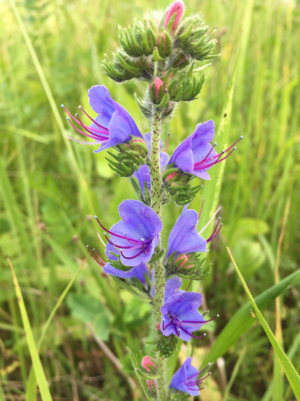 10863938-4C31-4311-9BE7-987CA7D74419