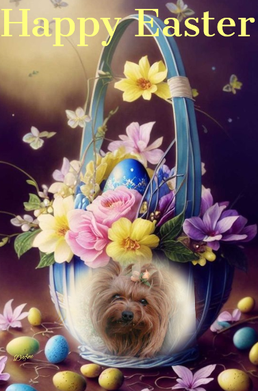 ( a 1 Pâques Pearle 4