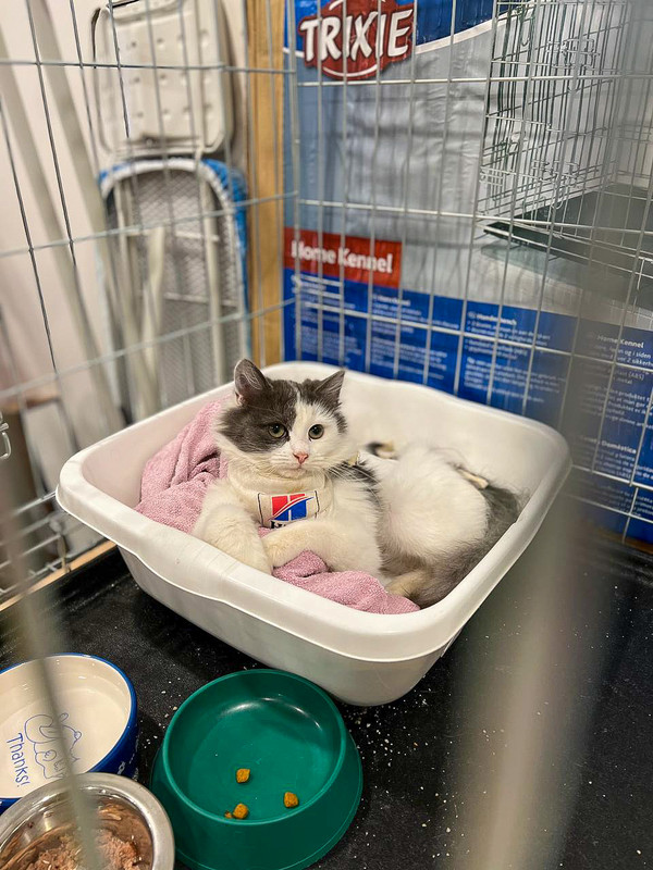 75B49D2D-FD76-4865-B8E0-DD92BC9A21EA