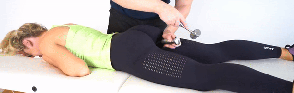 harleycam1.gif