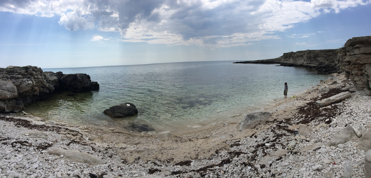 7F95CEF5-A678-48D4-8664-F80791942D04