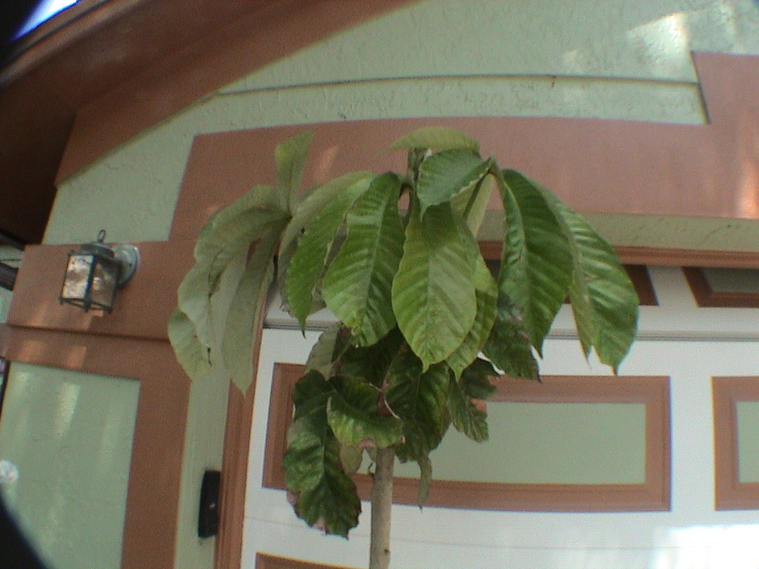 DSC00730