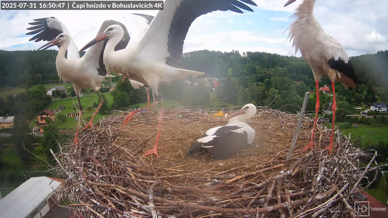 Tiešraide no KARA uzņēmuma stārķu skursteņa Bohuslavicē netālu no Trutnovas 13-12-51 screenshot (1)