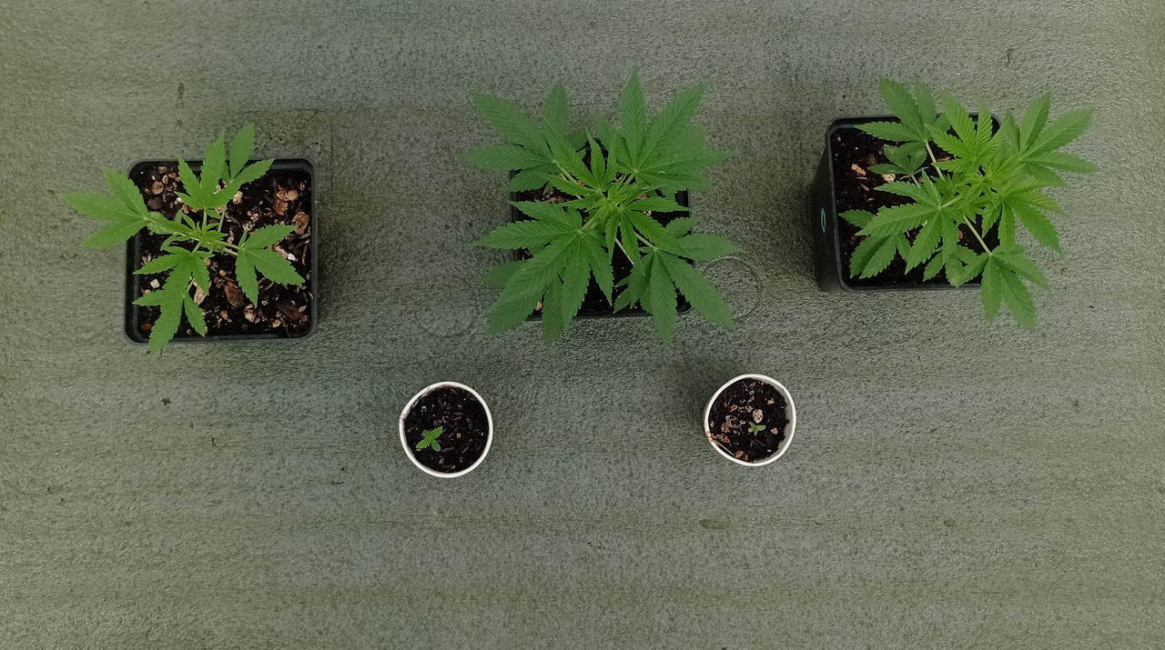 321989909_1526816157801081_6510072373949723666_n