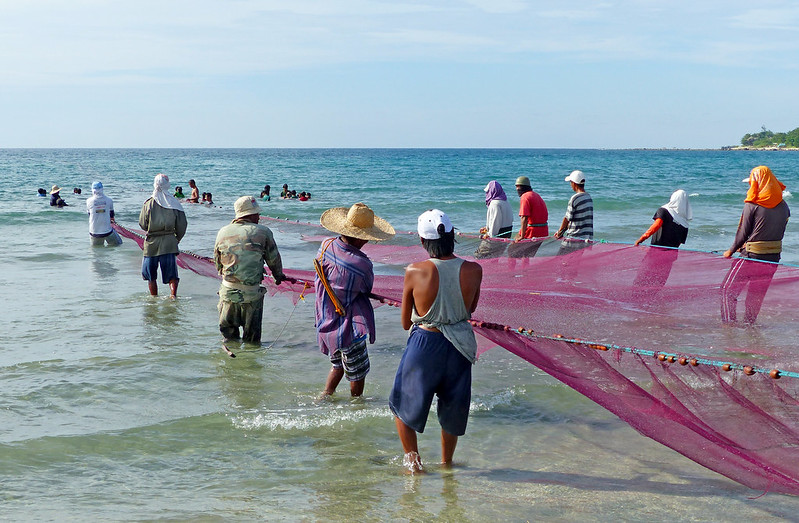 magentafishingnet.jpg