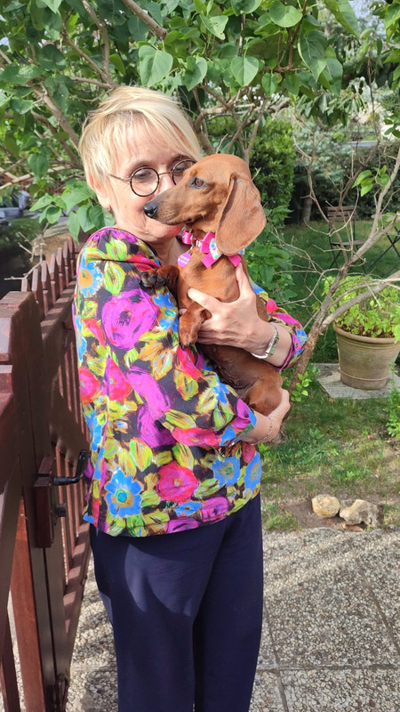 [Image: IMG-20240615-WA0008.jpg]