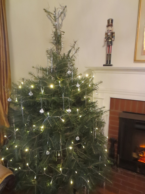 [PokeCommunity.com] Four Seasons: A Celebration of Life