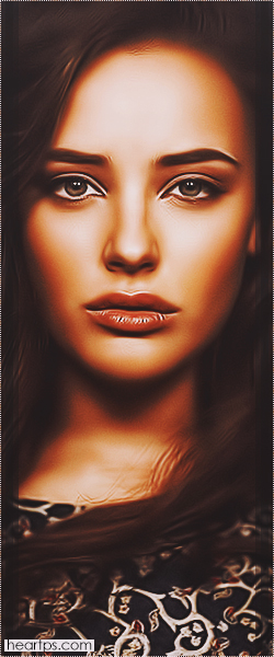 ���� ���� ������ �� ���� ������