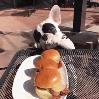 9f882fa31cb78ffc7336c9609e35c594.gif