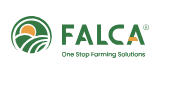 Falca