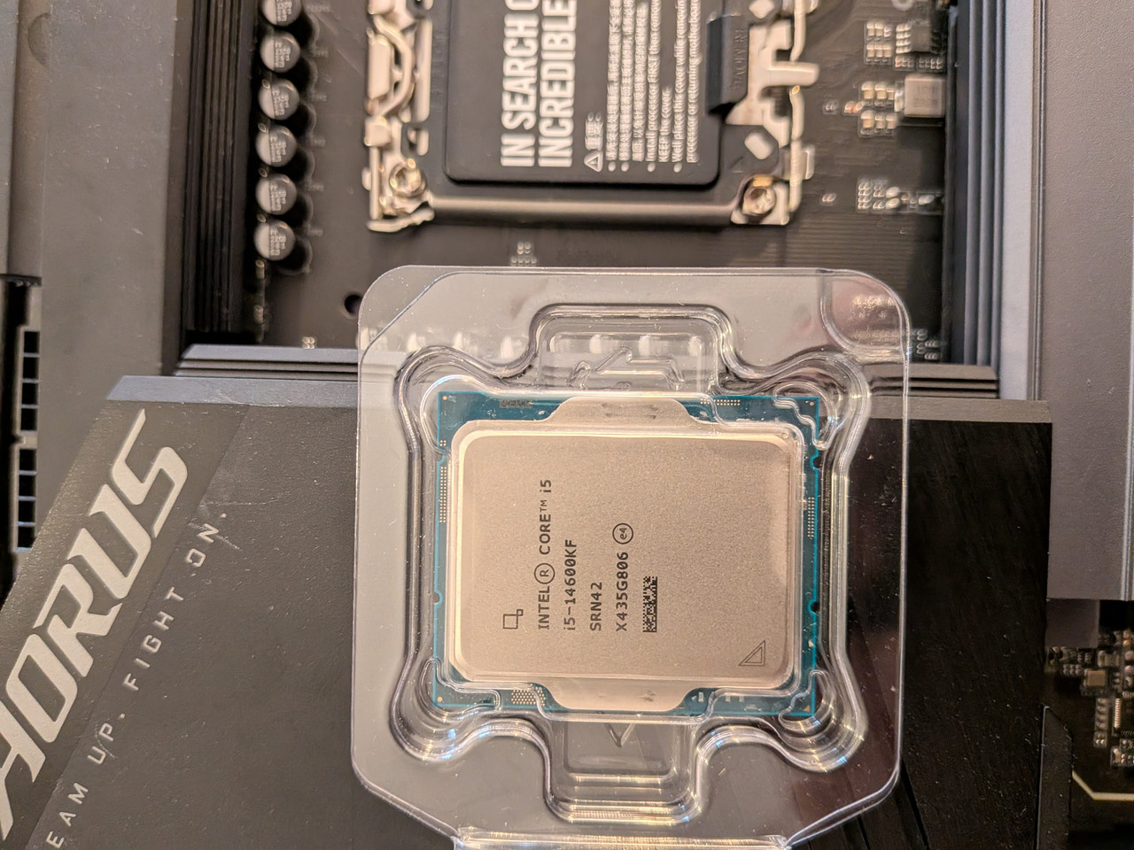 PXL 20260208 143349699