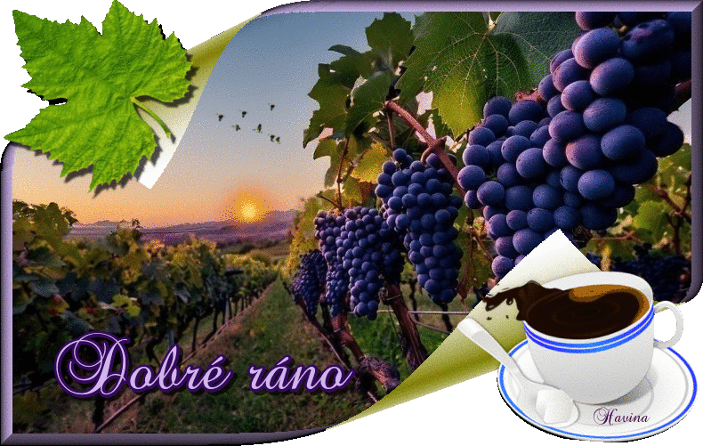 oie-overlay