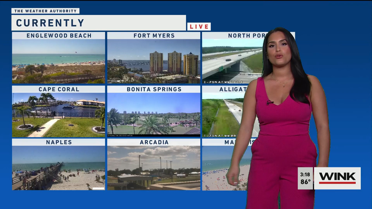 03.24 - 19.00.00 - WINK News at 3pm  ᴺᵉʷ..ts_snapshot_00.19.25.917
